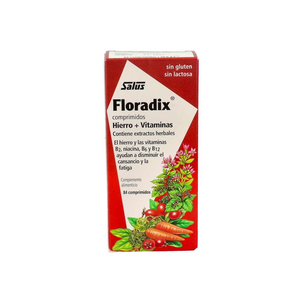SALUS FLORADIX HIERRO 84 COMP